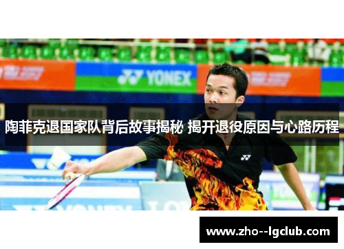 陶菲克退国家队背后故事揭秘 揭开退役原因与心路历程